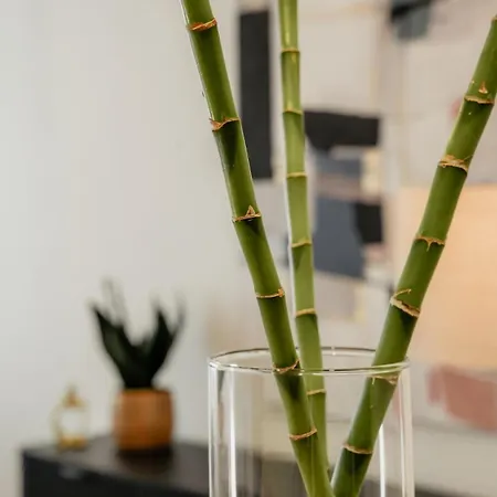 Darko Apartment