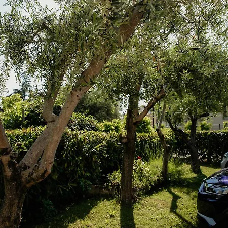 Apartment Darko Porec