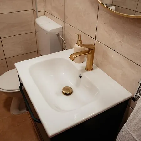 Darko Apartment Porec
